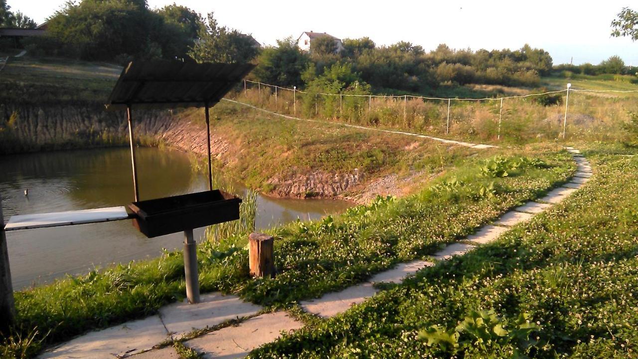 Barbecue House Villa Vinnitsya Dış mekan fotoğraf