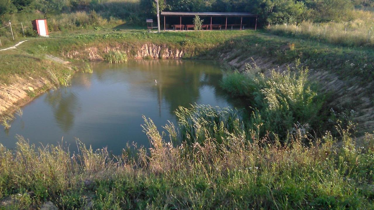 Barbecue House Villa Vinnitsya Dış mekan fotoğraf