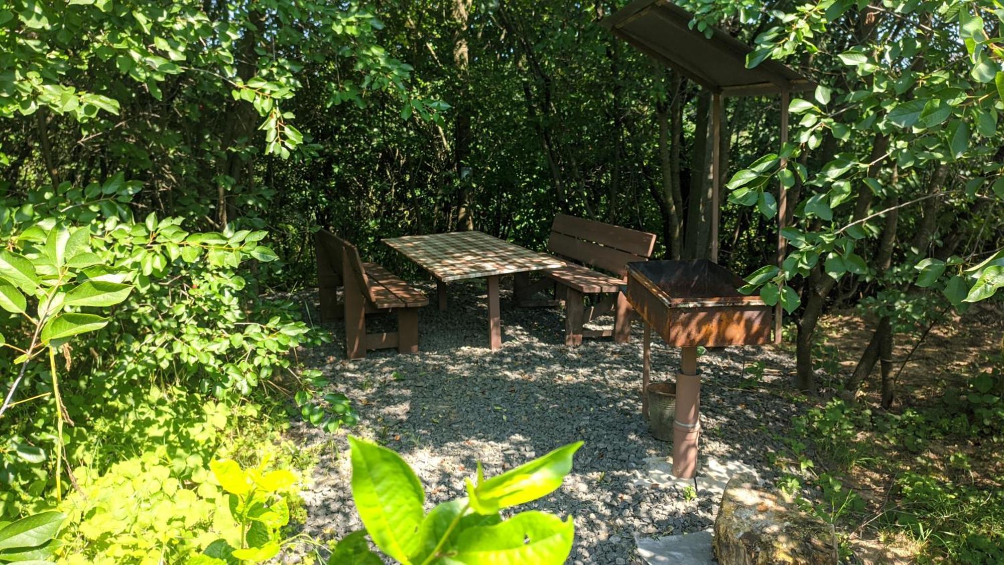 Barbecue House Villa Vinnitsya Dış mekan fotoğraf
